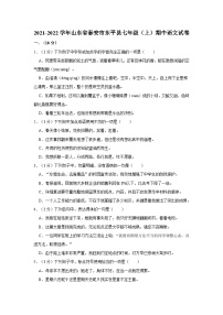 2021-2022学年山东省泰安市东平县七年级（上）期中语文试卷