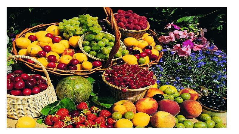 第5课《秋天的怀念》课件+2023—2024学年统编版语文七年级上册03