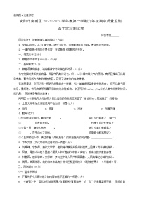 贵州省贵阳市南明区2023-2024学年九年级上学期期中测试语文试题