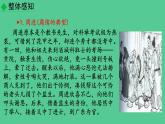 九年级语文下册名著导读《儒林外史》同课异构教学（课件）