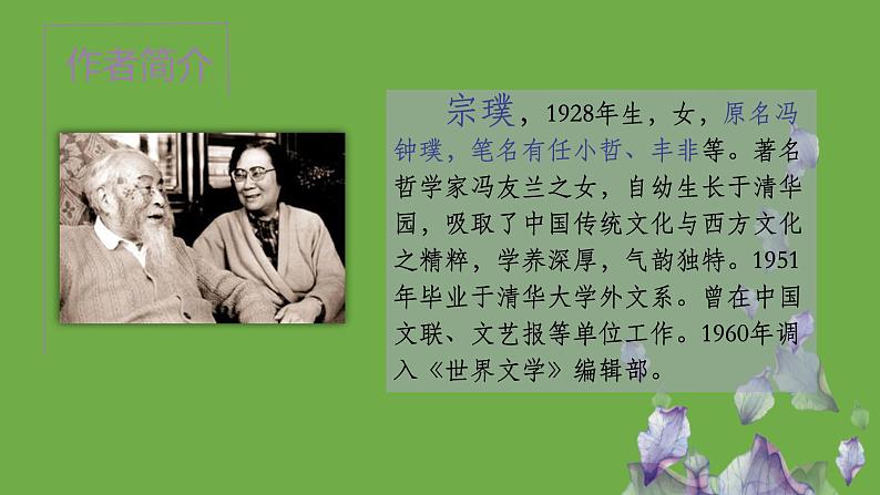 七年级语文下册《紫藤萝瀑布》同课异构教学课件第2页