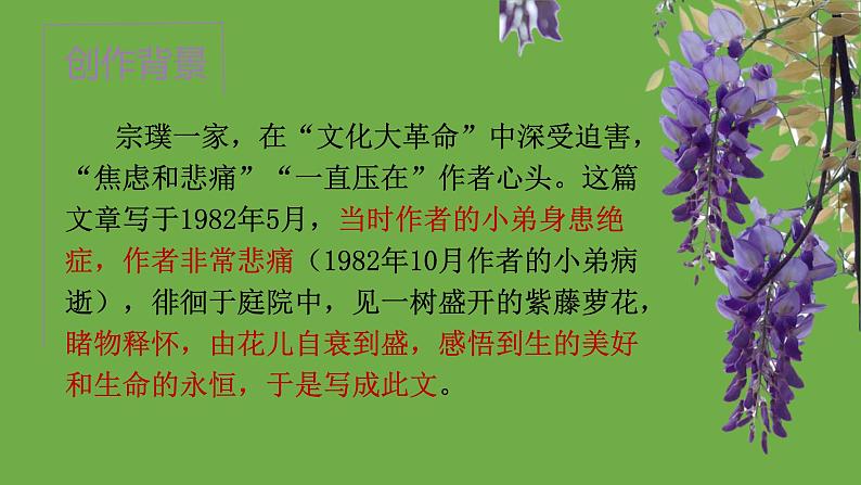 七年级语文下册《紫藤萝瀑布》同课异构教学课件第3页