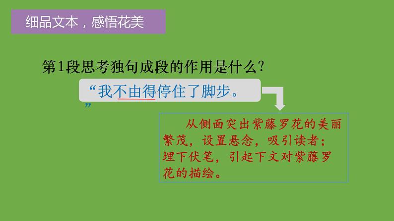 七年级语文下册《紫藤萝瀑布》同课异构教学课件第8页