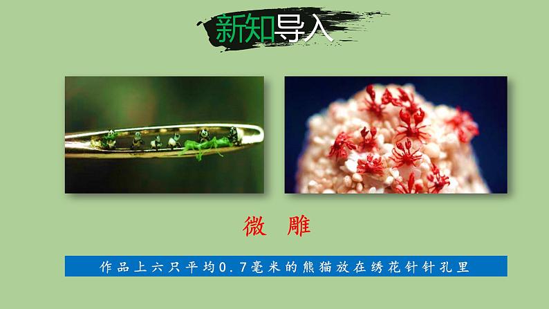 八年级语文下册《核舟记》同课异构教学课件第5页