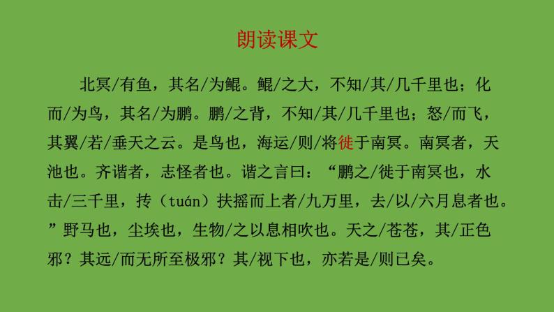 八年级语文下册《北冥有鱼》同课异构教学课件04