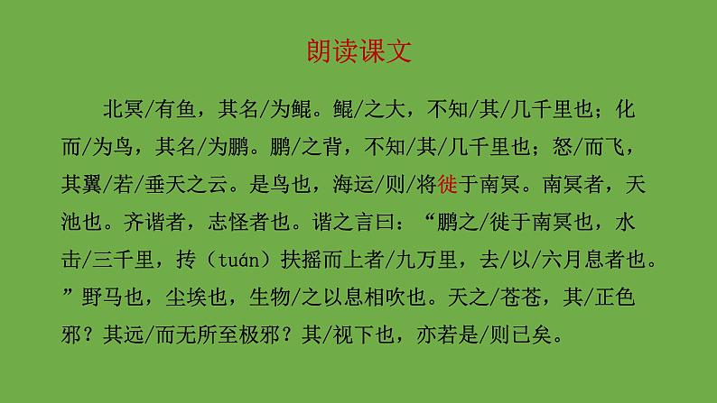 八年级语文下册《北冥有鱼》同课异构教学课件第4页