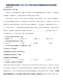 04，陕西省渭南市临渭区2023-2024学年九年级上学期期末模拟练习语文试题