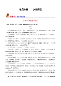 考点十三 小说阅读（好题冲关·真题演练）-备战2024年中考语文一轮复习讲练测（全国通用）