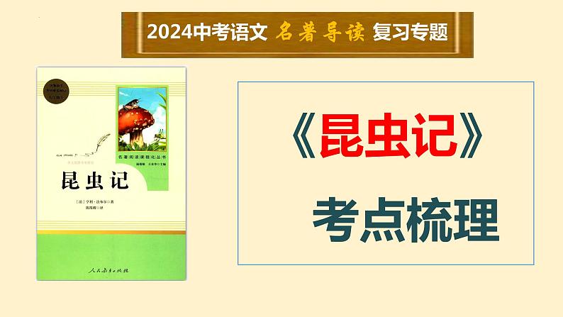 6   八上名著《昆虫记》考点梳理（文学常识+主要人物+选择题+精段阅读+读后感）2024年中考语文课件PPT01