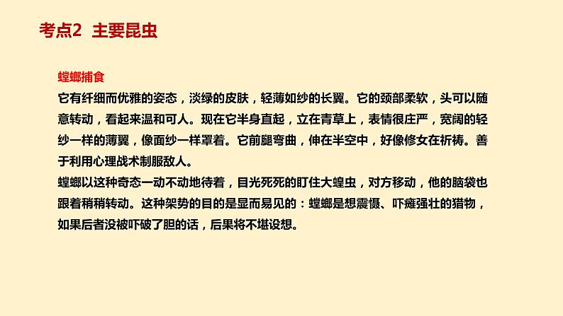 6   八上名著《昆虫记》考点梳理（文学常识+主要人物+选择题+精段阅读+读后感）2024年中考语文课件PPT06