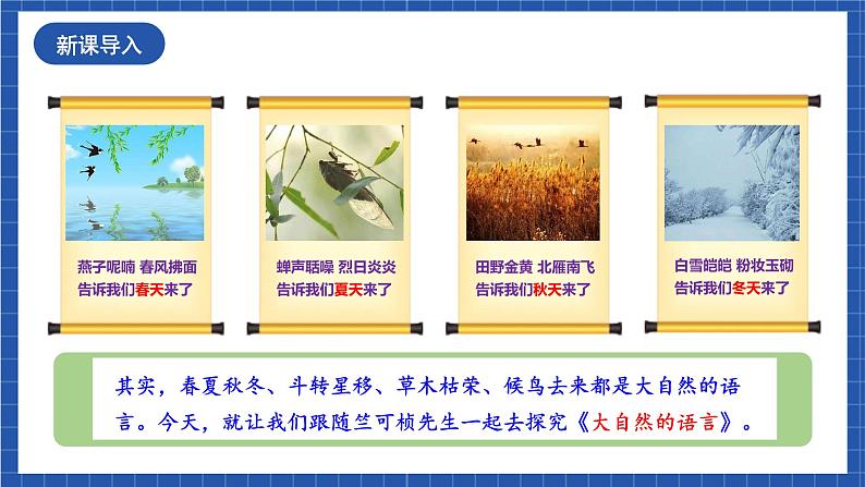 人教统编版语文八年级下册5.《大自然的语言》课件+教案02
