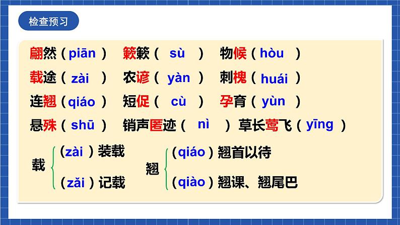人教统编版语文八年级下册5.《大自然的语言》课件+教案06
