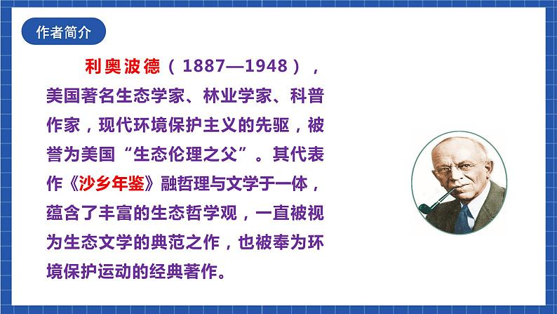 人教统编版语文八年级下册7.《大雁归来》课件+教案04