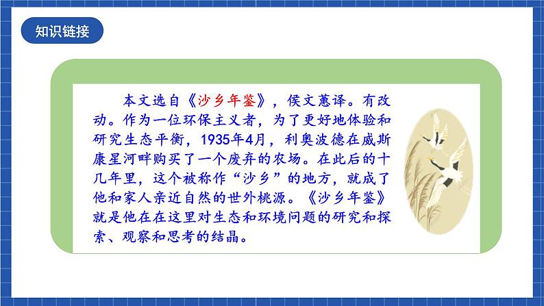 人教统编版语文八年级下册7.《大雁归来》课件+教案05