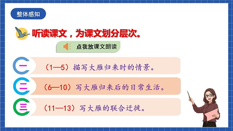 人教统编版语文八年级下册7.《大雁归来》课件+教案08