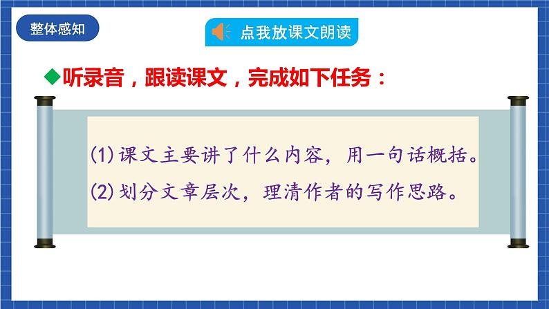 人教统编版语文八年级下册18.《在长江源头各拉丹冬》课件第8页