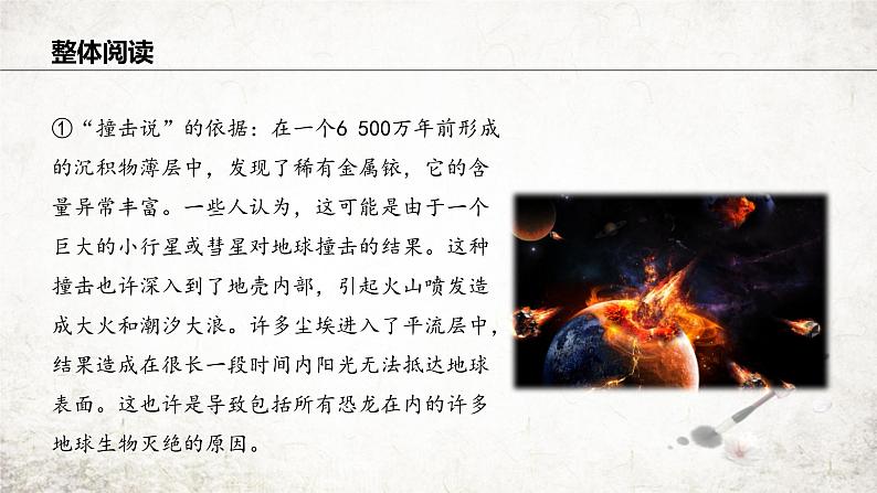 6 被压扁的沙子 课件 2023-2024学年初中语文部编版八年级下册05