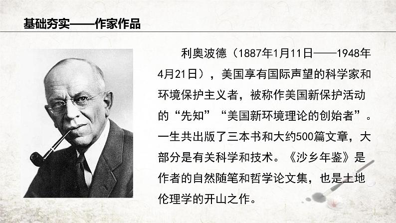 7 大雁归来  课件 2023-2024学年初中语文部编版八年级下册第4页