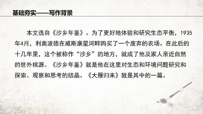 7 大雁归来  课件 2023-2024学年初中语文部编版八年级下册第5页