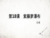 18 紫藤萝瀑布  课件 2023-2024学年初中语文部编版七年级下册