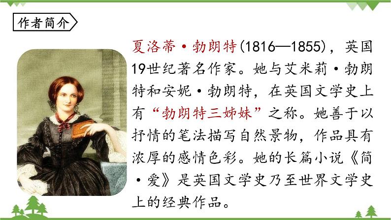 统编版语文九年级下册 第6单元 名著阅读《简·爱》外国小说的阅读课件第5页