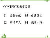 統(tǒng)編版語文九年級下冊 第1單元 3《短詩五首》第2課時課件