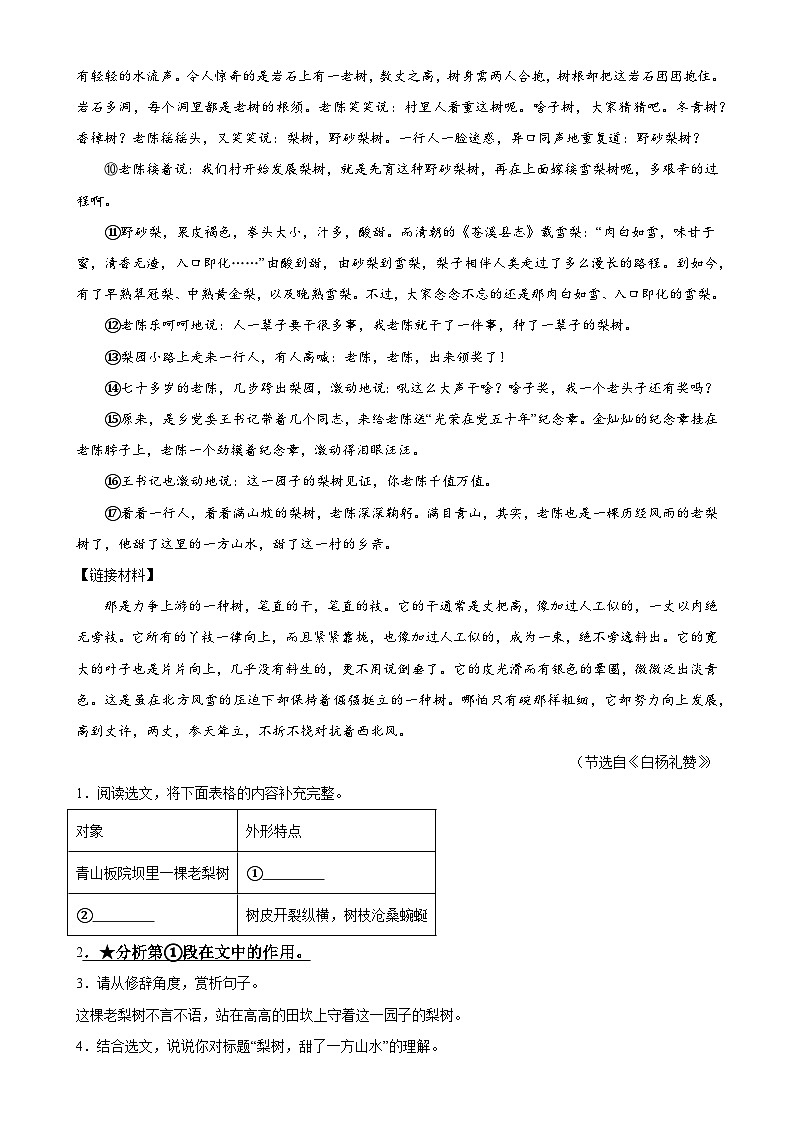 第27讲 句段的作用（练习）2024年中考语文讲练测（解析版）03