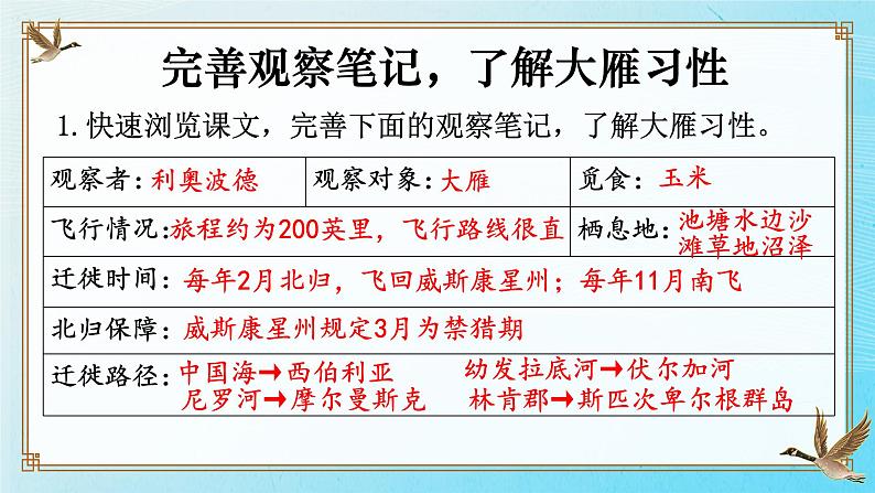 人教部编版语文《大雁归来》PPT课件第8页