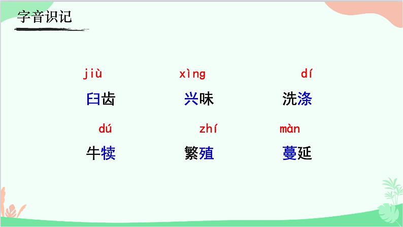 统编版语文八年级上册 16《永久的生命 》课件第6页