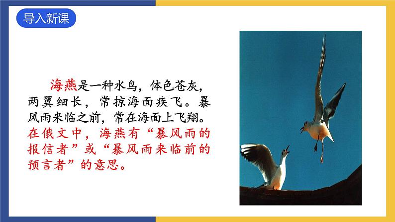 4《海燕》课件 人教版初中语文九年级下册02