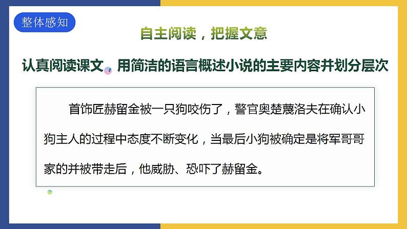 6《变色龙》课件 人教版初中语文九年级下册06