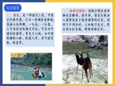 7《溜索》课件 人教版初中语文九年级下册