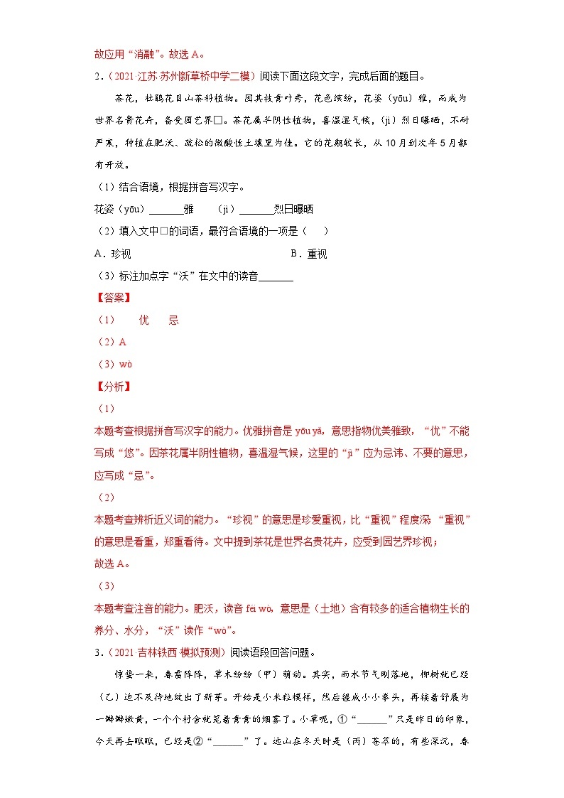 最新中考语文考点一遍过讲义 考点03 语言运用之综合运用03