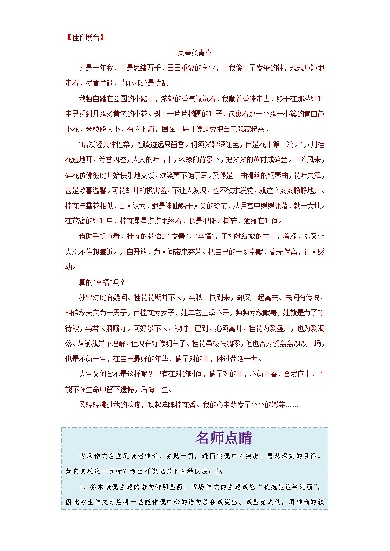 中考语文考点一遍过 考点50 写作之中心突出（教师版）第3页