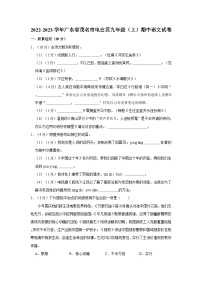 2022-2023学年广东省茂名市电白区九年级（上）期中语文试卷