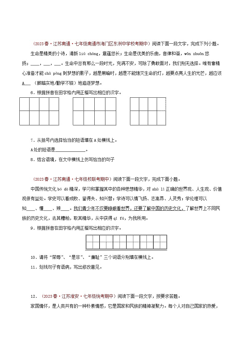 2023-2024学年七年级语文下学期期中专题复习(江苏专用)专题01：基础知识综合(原卷版+解析)第3页