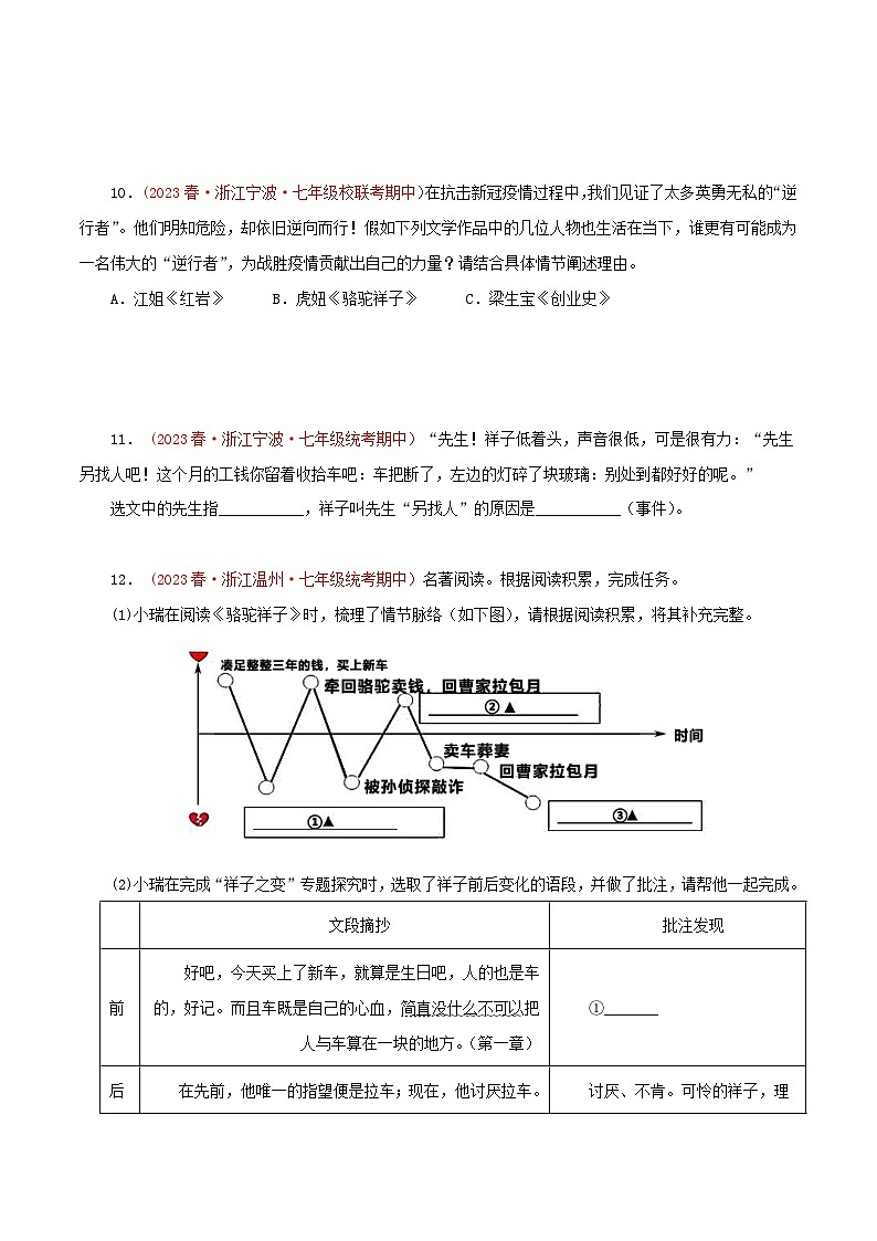 2023-2024学年七年级语文下学期期中专题复习(浙江专用)专题05：名著导读(原卷版+解析)第3页
