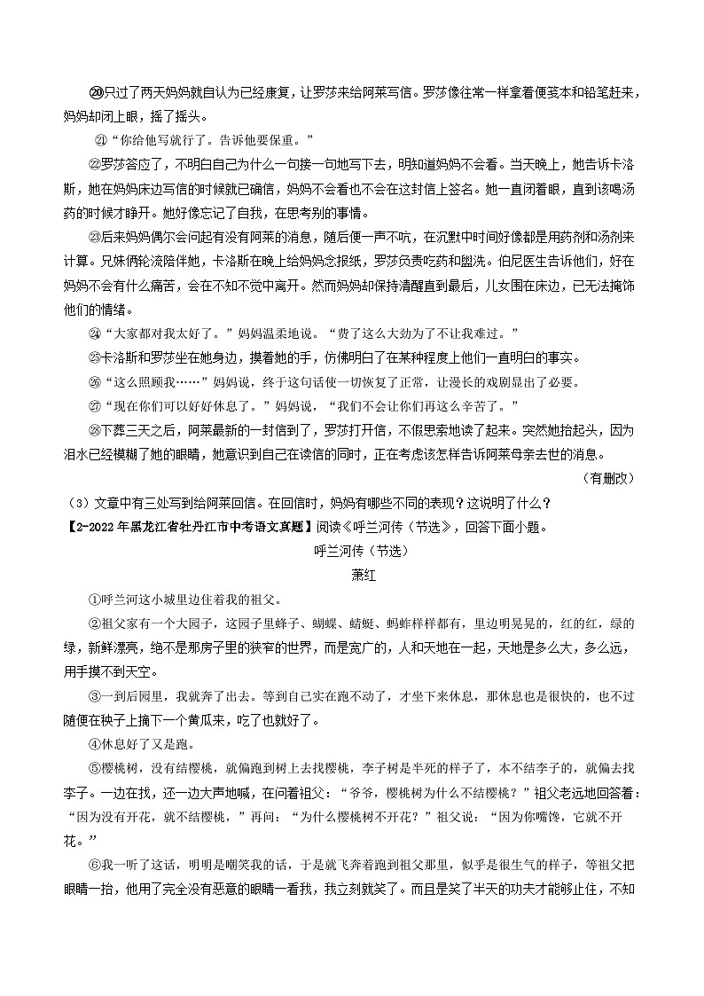 2024年中考语文考前抓大分技法之小说阅读专题11小说内容理解(原卷版+解析)第3页