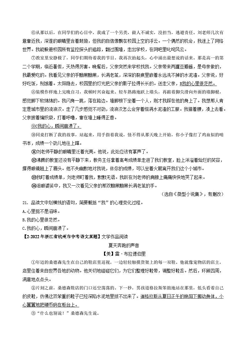 2024年中考语文考前抓大分技法之小说阅读专题12小说人物心理(原卷版+解析)02