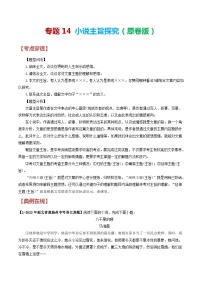 2024年中考语文考前抓大分技法之小说阅读专题14小说主旨探究(原卷版+解析)