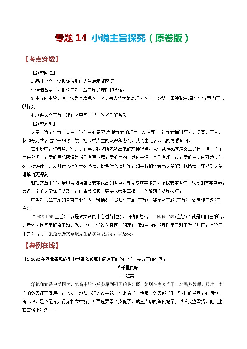 2024年中考语文考前抓大分技法之小说阅读专题14小说主旨探究(原卷版+解析)01