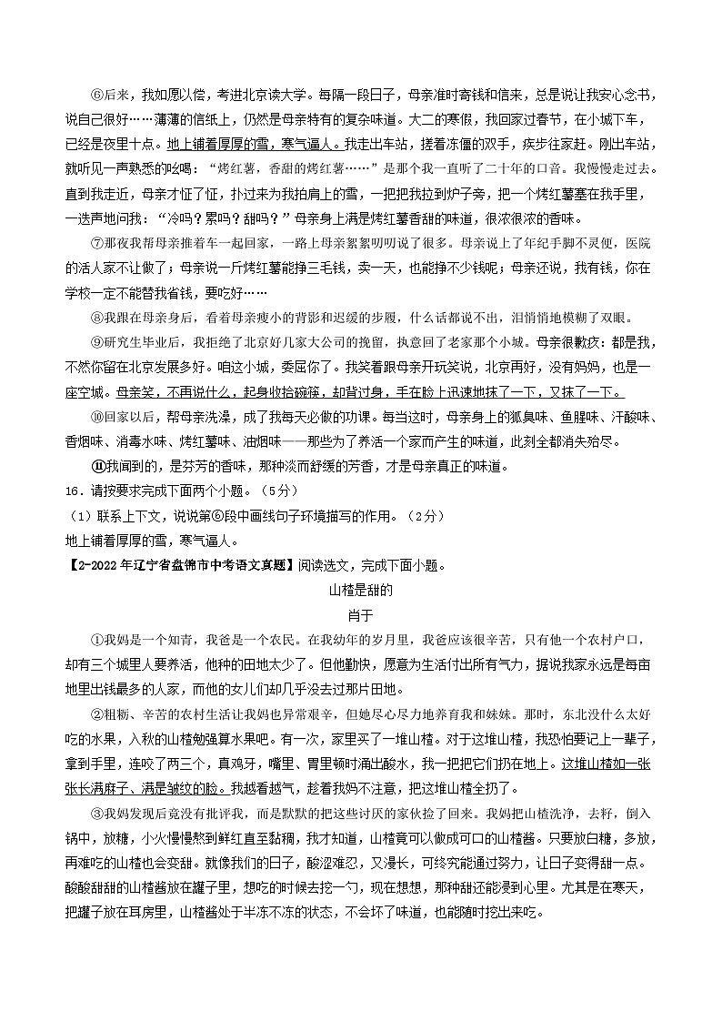 2024年中考语文考前抓大分技法之散文阅读专题15散文环境描写(原卷版+解析)第3页