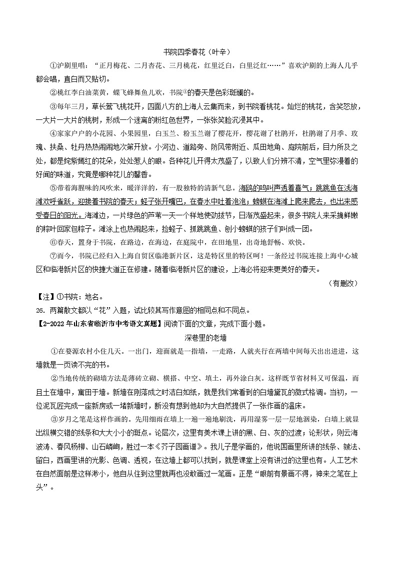 2024年中考语文考前抓大分技法之散文阅读专题23散文主题主旨探究(原卷版+解析)第3页