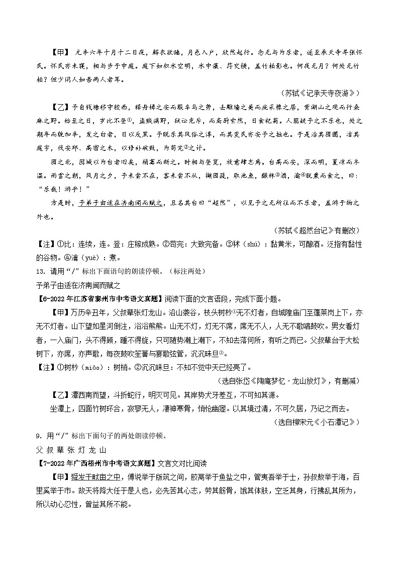2024年中考语文考前抓大分技法之文言文阅读专题06文言文停顿(原卷版+解析)第3页