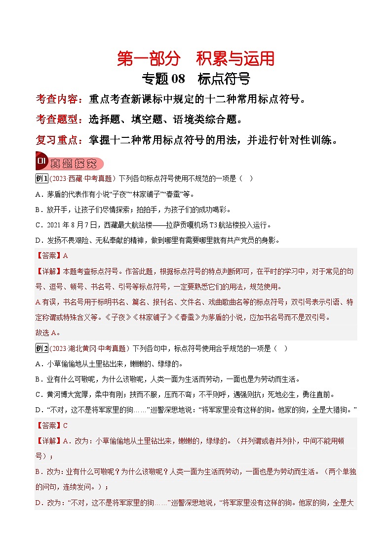 2024年中考总复习真题探究与变式训练(全国通用)专题08标点符号(原卷版+解析)01