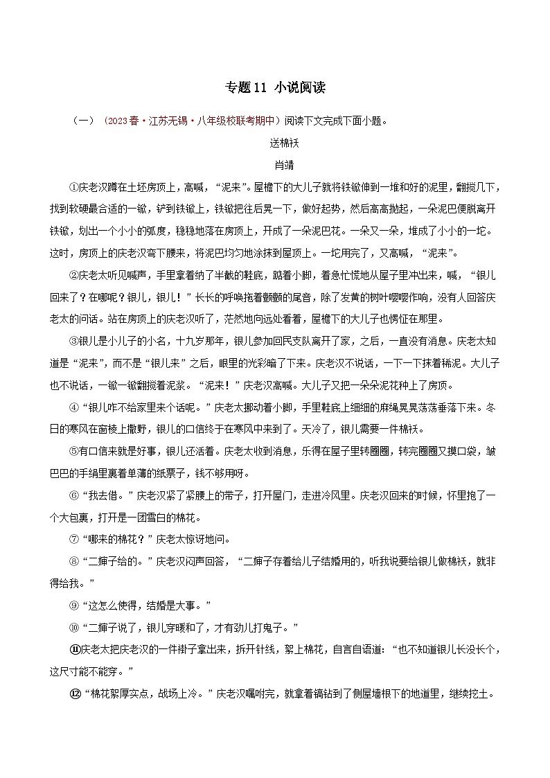 2023-2024学年八年级语文下学期期中专题复习(江苏专用)专题10：小说阅读(原卷版+解析)01