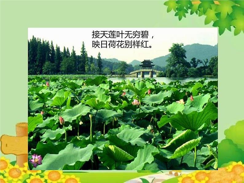 统编版语文八年级下册  5.大自然的语言 课件第3页