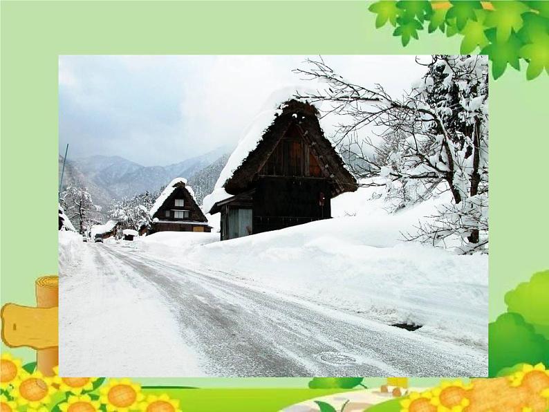 统编版语文八年级下册  5.大自然的语言 课件第5页