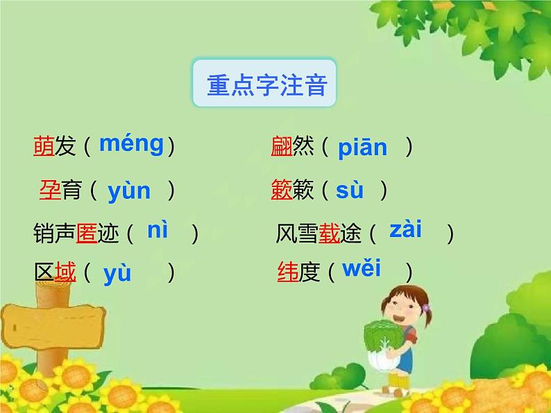 统编版语文八年级下册  5.大自然的语言 课件第8页