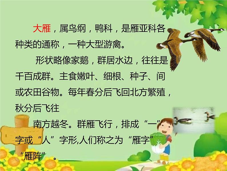 统编版语文八年级下册  7.大雁归来 课件04